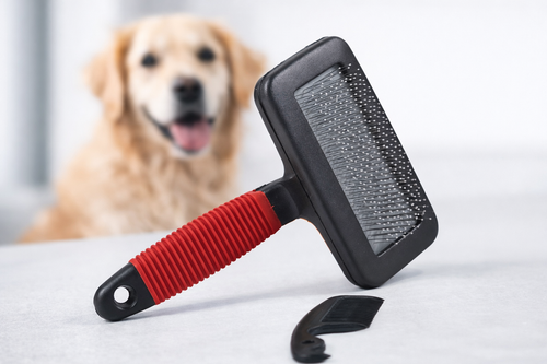 Peine de agujas de acero para masaje de mascotas